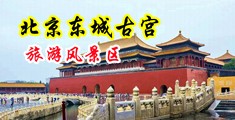 不要操我啊啊啊好疼中国北京-东城古宫旅游风景区